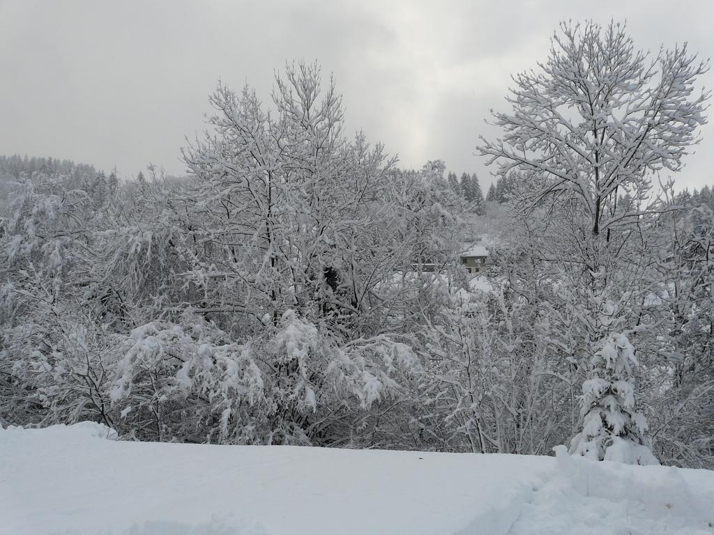 Chalet Les Sapins Argentes เฌราร์แมร์ ภายนอก รูปภาพ