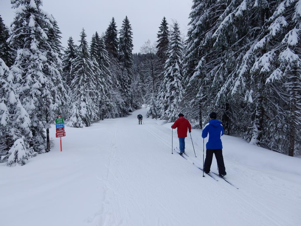 Chalet Les Sapins Argentes เฌราร์แมร์ ภายนอก รูปภาพ