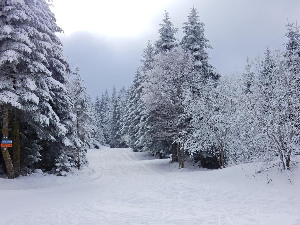 Chalet Les Sapins Argentes เฌราร์แมร์ ภายนอก รูปภาพ
