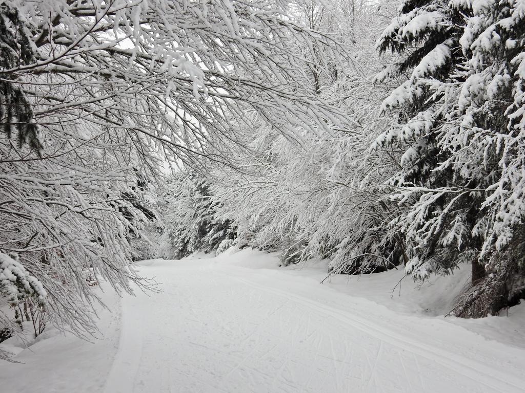 Chalet Les Sapins Argentes เฌราร์แมร์ ภายนอก รูปภาพ