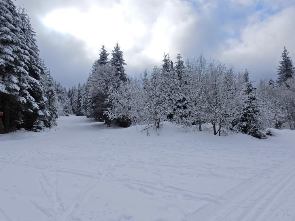 Chalet Les Sapins Argentes เฌราร์แมร์ ภายนอก รูปภาพ