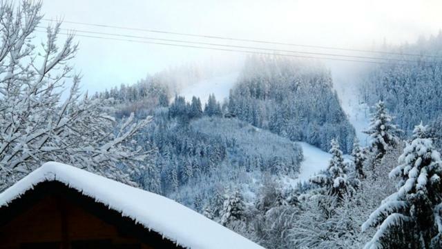 Chalet Les Sapins Argentes เฌราร์แมร์ ภายนอก รูปภาพ