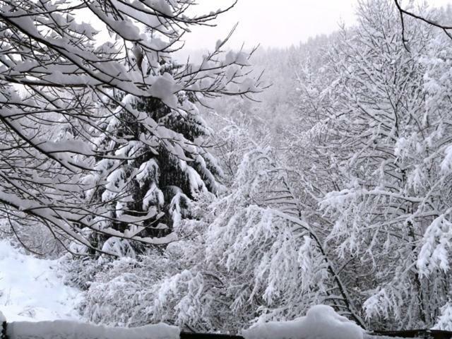 Chalet Les Sapins Argentes เฌราร์แมร์ ห้อง รูปภาพ